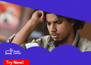 Social Catfish for Online Verification