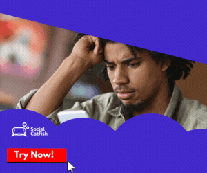 Social Catfish for Online Verification