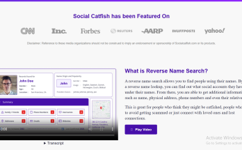Social Catfish