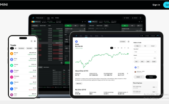 Gemini Partners