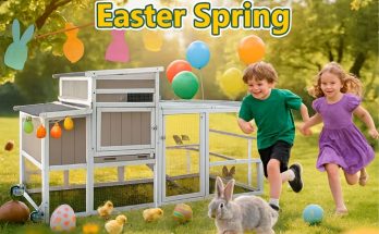 diy and home improvement